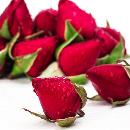 墨红玫瑰花骨朵食用花蕾鲜花云南玫瑰花苞非花瓣500g