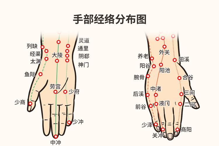 五个手指有6条经脉循行即肺经大肠经心包经三焦经手少阴心经和手