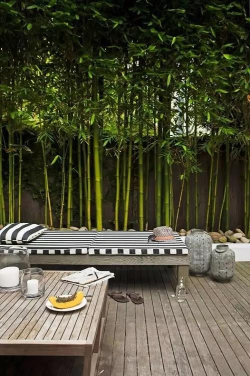 竹子的庭院中的多种应用你知道吗私家庭院设计有什么好的案例