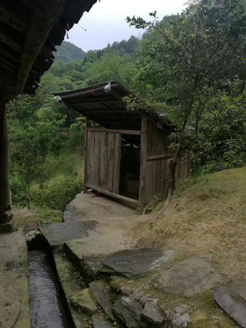 黄永玉大师画笔下的湘西私家茅厕在我家乡农村已逐渐消失