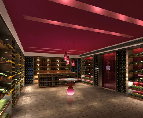 巴克斯红酒俱乐部现代风格室内设计实景图