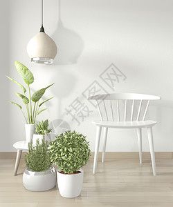高清背景图片白色客厅里的椅子和绿植高清背景图片白色客厅室内高清