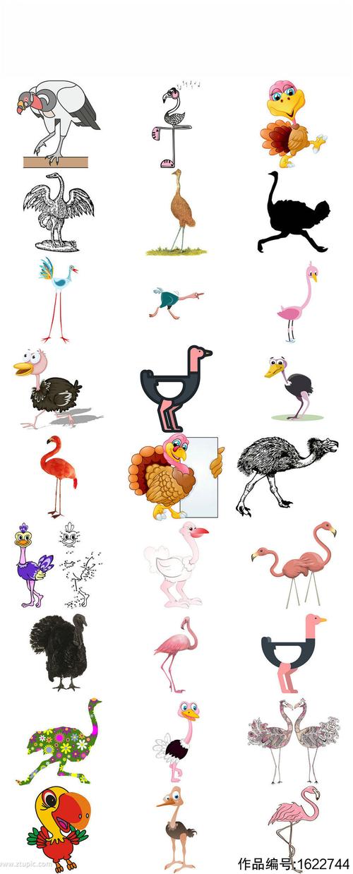 动物鸵鸟造型形象设计素材
