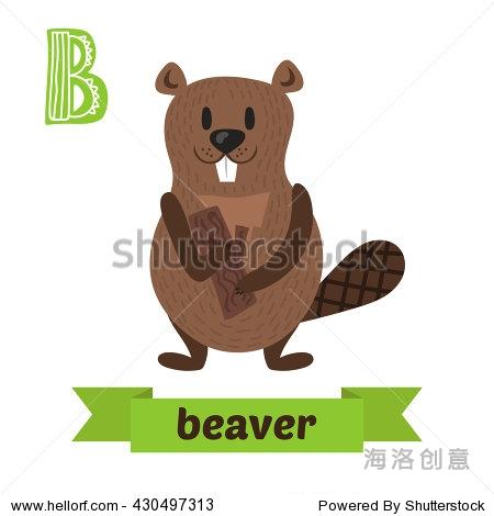 beaver.