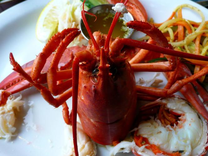 海鲜龙虾大龙虾美食世界美味好吃大龙虾图片