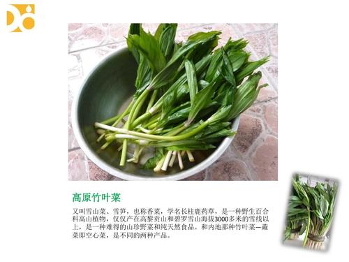 高原竹叶菜