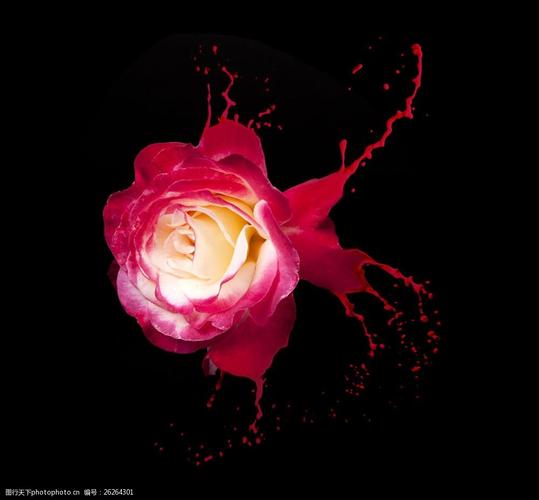 动感油漆与玫瑰花图片