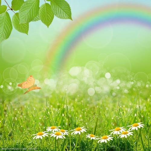 春天树叶彩虹与鲜花草地图片
