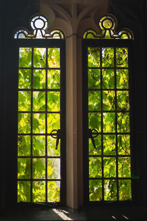 一扇翠绿色的窗户