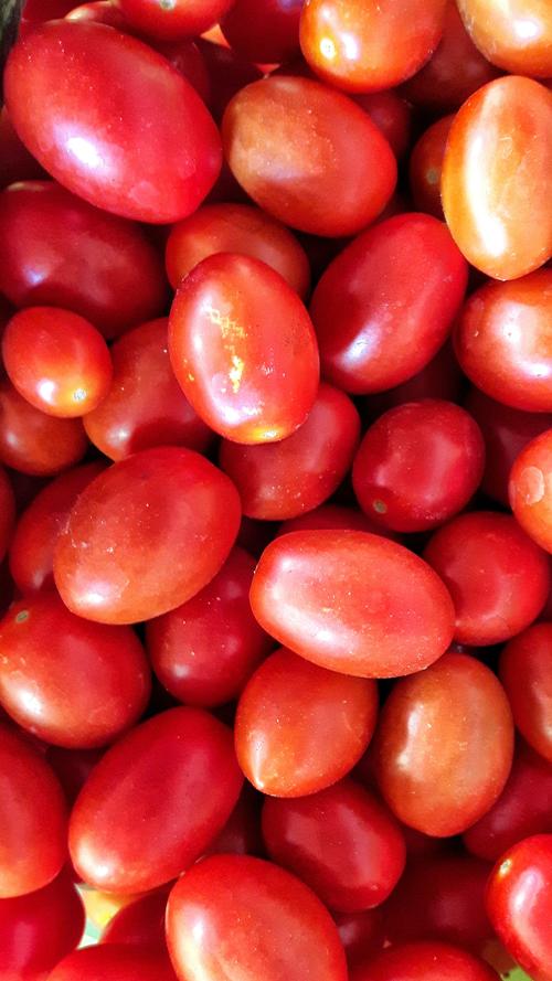 蔬菜小西红柿圣女果美食世界营养美味的圣女果图片