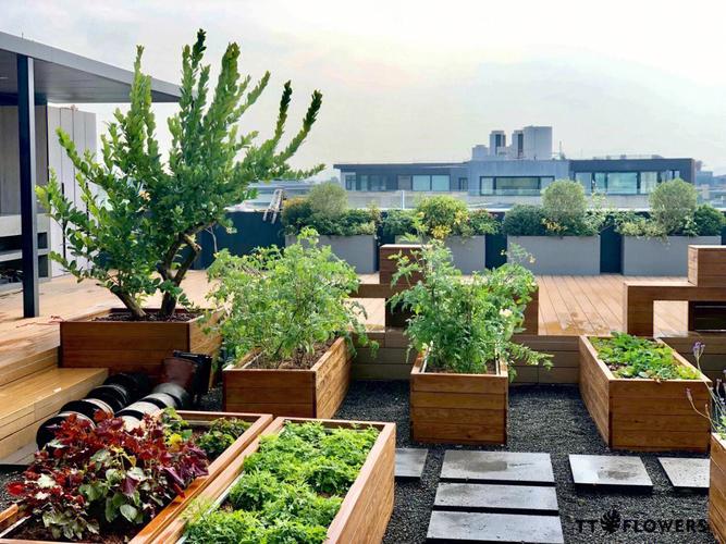 60平的露台菜园设计在家实现果蔬自由
