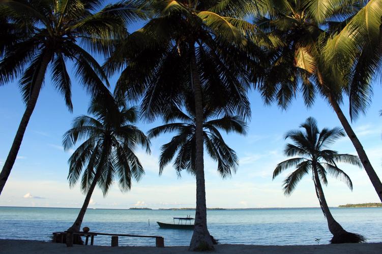 海滩椰子树水免费图片自然旅游海椰子视图树云海边风景图片