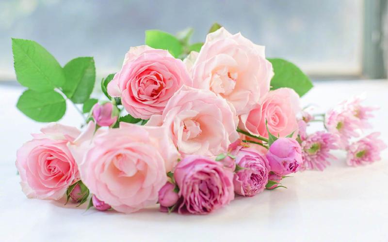 清新淡雅粉色花卉图片桌面壁纸