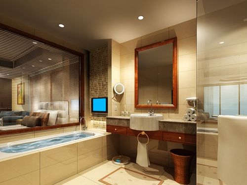 酒店-客房卫生间装修设计