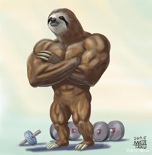 如果动物也健身那是什么样子直击肥腾腾的大熊猫变身魔鬼筋肉男