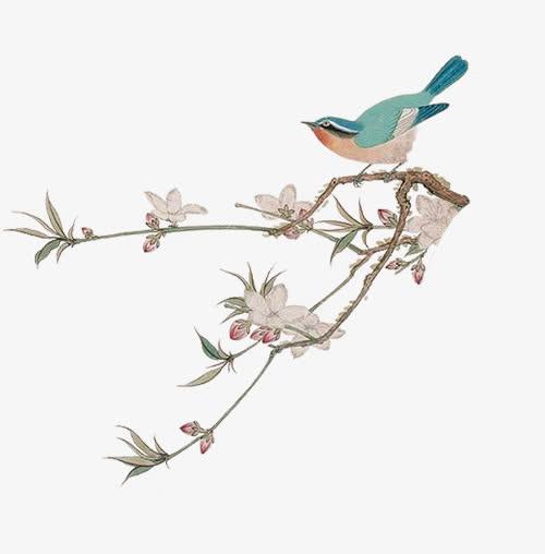 中国风典雅手绘树枝花鸟