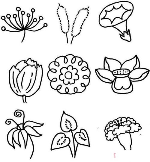 18种花朵的画法简单又漂亮各种花简笔画图片