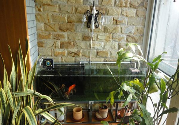 设计融入时下较为流行的创意能够给阳台带来赏心悦目的效果鱼缸