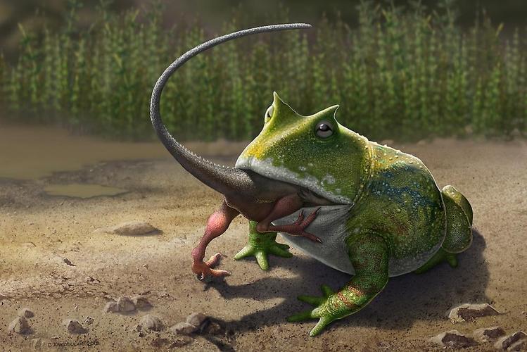 4种奇葩的史前动物魔鬼蛙能够吞食恐龙旋齿鲨嘴巴如同锯子
