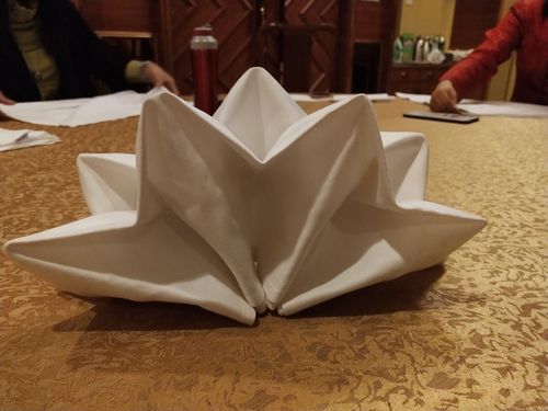 这是我们做的餐巾折花这个叫满天星