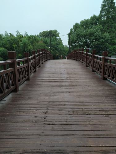 桂花公园里的小木桥