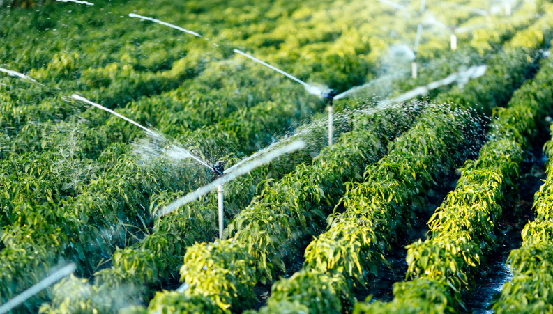 汇总丨农业灌溉技术及设备现行团体标准
