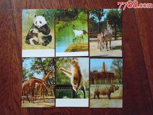 北京动物园明信片全套