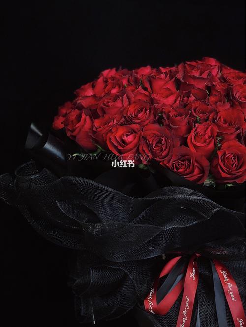 99朵求爱红玫瑰