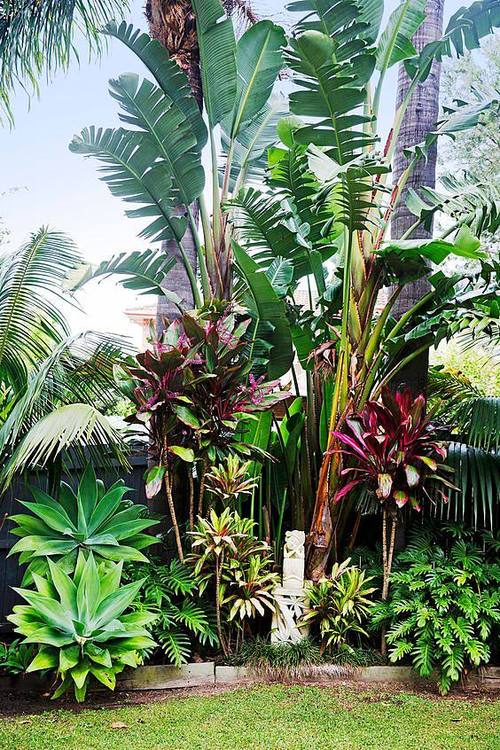 东南亚庭院植物配置