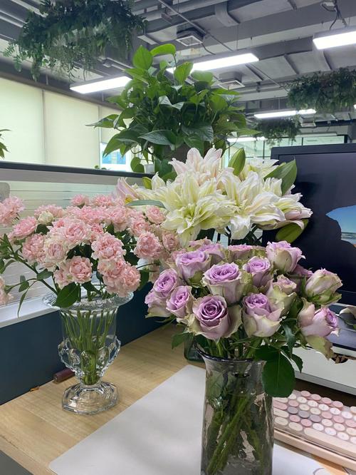 办公室鲜花