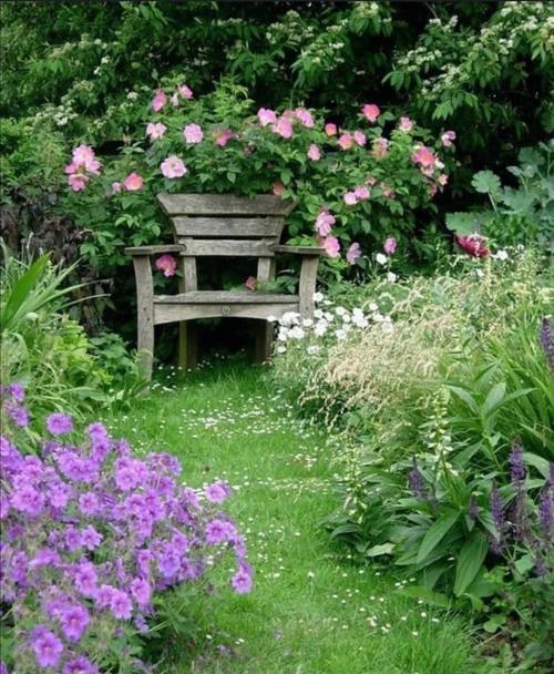 拥有一个庭院除了种自己喜欢的花草就是能在院子里有一个惬意浪漫的