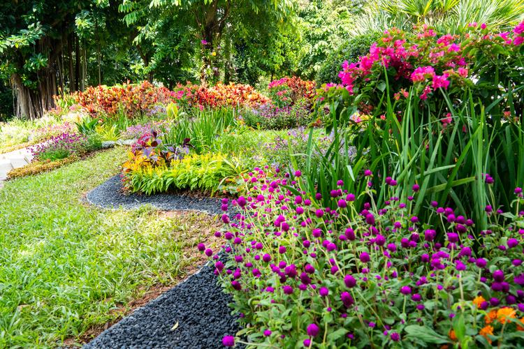 2020年市属公园花卉景观布置机动服务项目