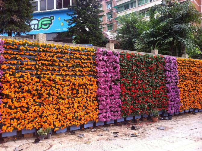 立体绿化花墙花柱花树花盆点缀着立体三维空间