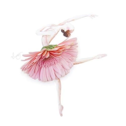 粉色的花朵化身为女孩的芭蕾裙可爱又独具美丽这样的纯天然代表着