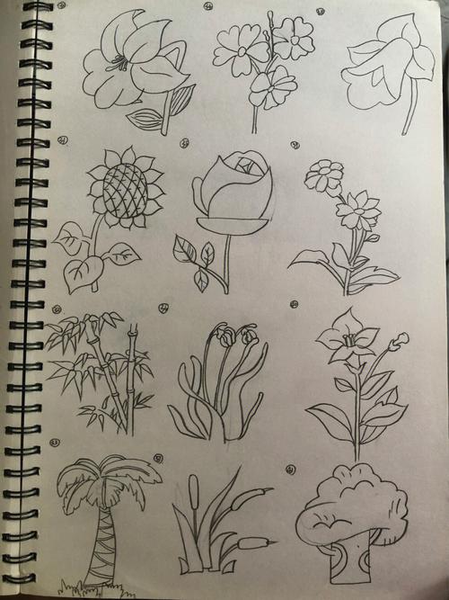 植物绘画大全系列