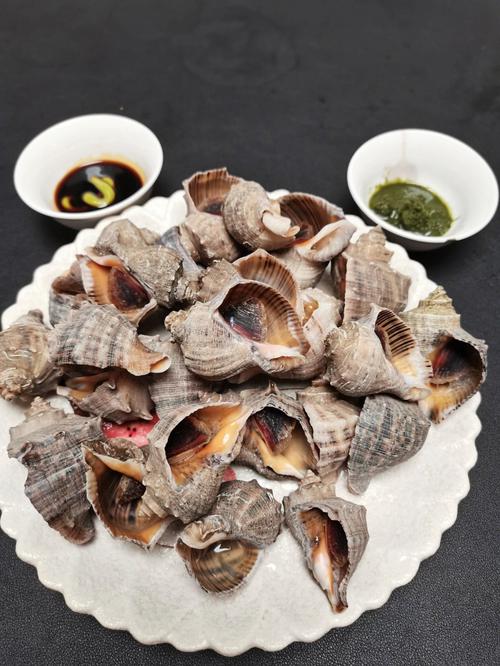 煮海螺教程和挑选方法