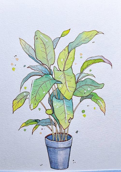 植物小画