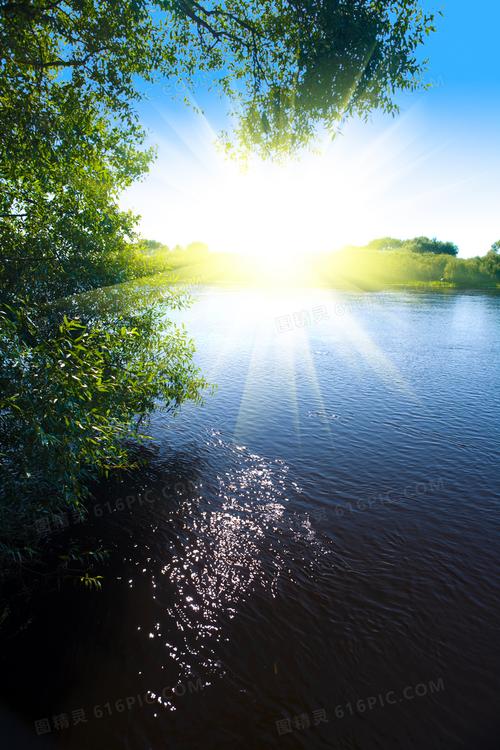 耀眼阳光与树木湖景等摄影高清图片