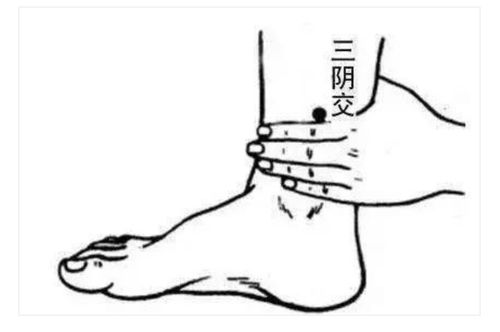 在内踝尖上用自己的手指4指之上按压有一骨头三阴交穴位于胫骨后缘