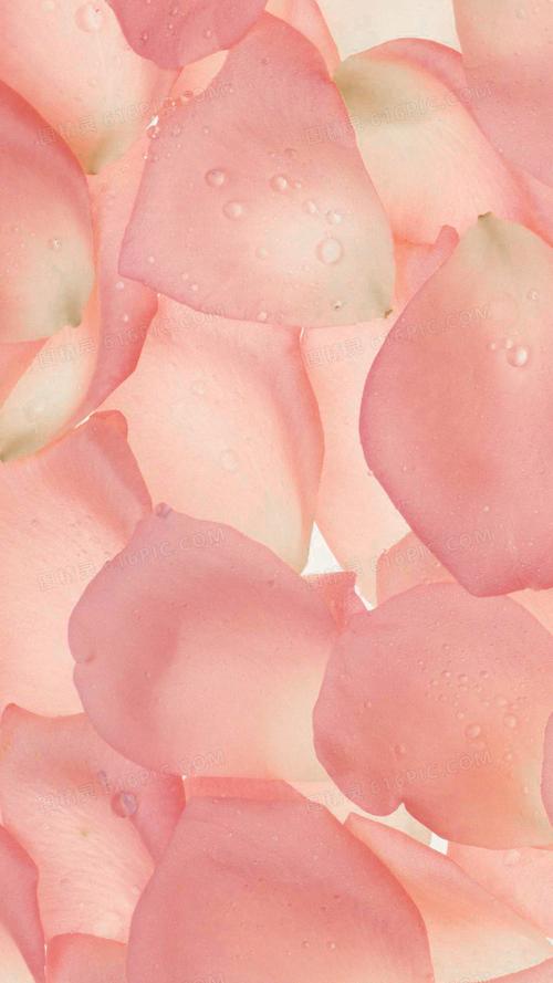 粉红色花朵花瓣平铺h5背景
