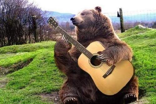 动物也能弹吉他吹口琴