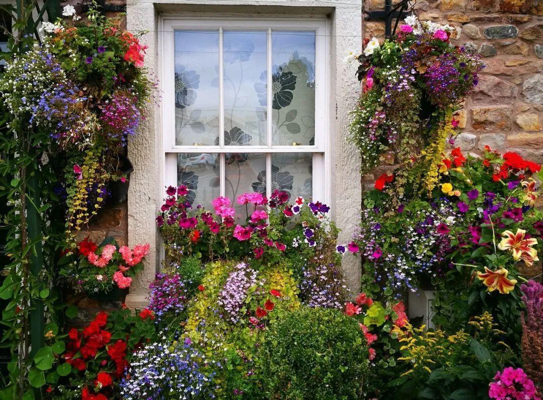 我想有一个开满花的窗台每天赏花
