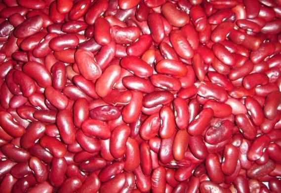 红腰豆