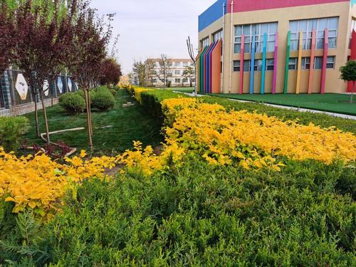绿化环境美化家园中宁县第三幼儿园开展环境美化活动