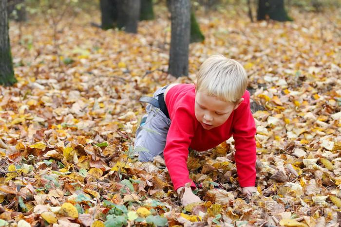 在红色的干树叶在黄色秋天的树林在地上爬行的小男孩