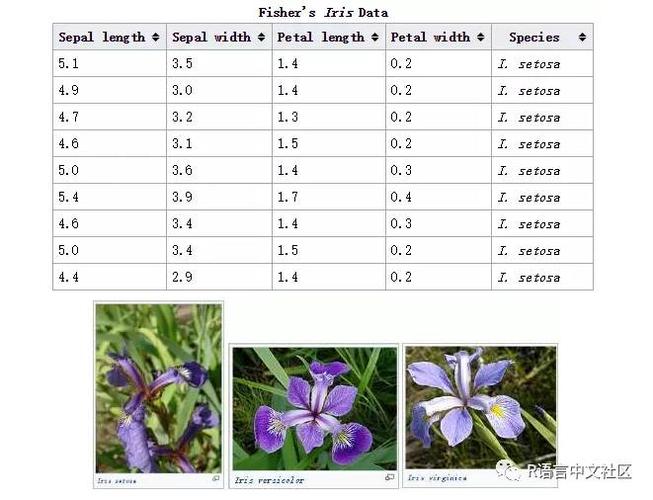 iris也称鸢尾花卉数据集是一类多重变量分析的数据集.