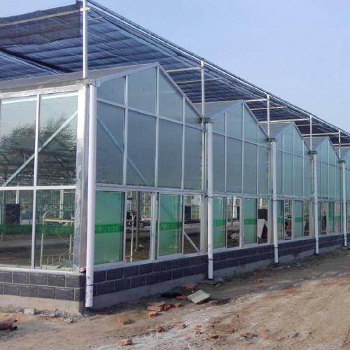 浙江玻璃温室厂家文洛温室建造轻钢结构大棚国兴承建