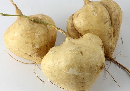 凉薯也就是我们俗称的地瓜可以做菜吃也可以当成水果食用.