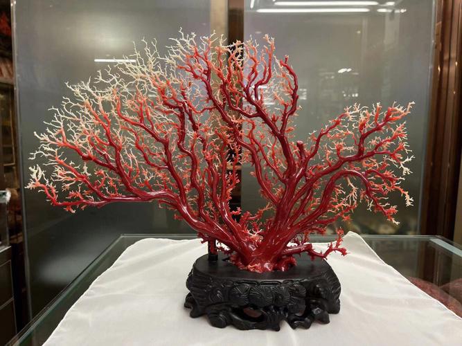 日本红珊瑚阿卡树形摆件
