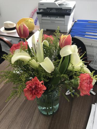 办公室的花